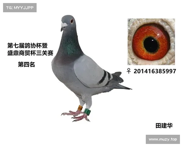 中协杯赛事 中协杯比赛结果 中协杯赛事 中协杯比赛结果
