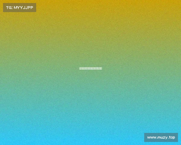聚焦赛事费：全面解析与实用指南